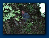 I was well hidden - now there is a motorway in!